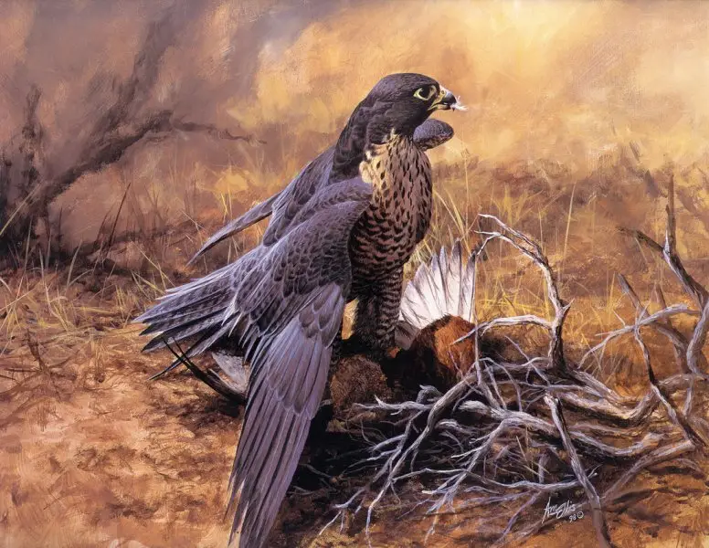 "Gyrfalcon" by Emma Ford image 25