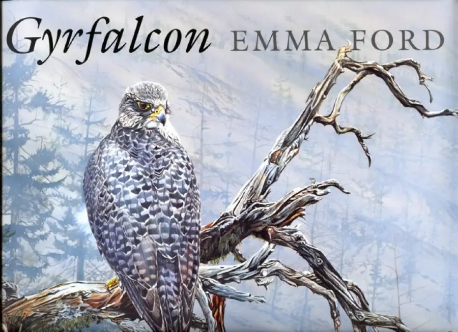 "Gyrfalcon" by Emma Ford image 0