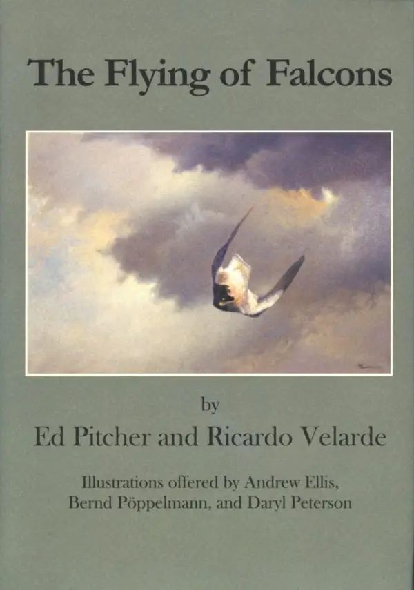 Book: The Flying of Falcons image 0